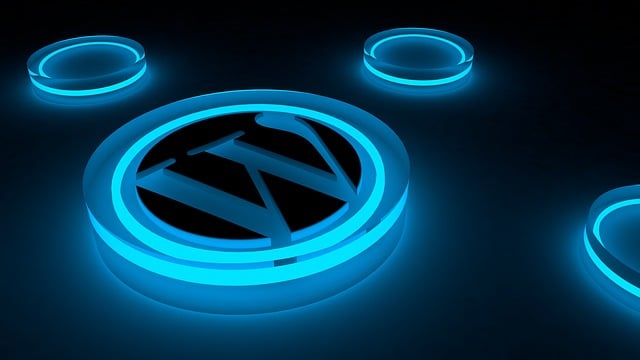WordPress-thema-kiezen